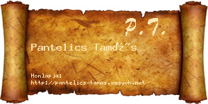 Pantelics Tamás névjegykártya
